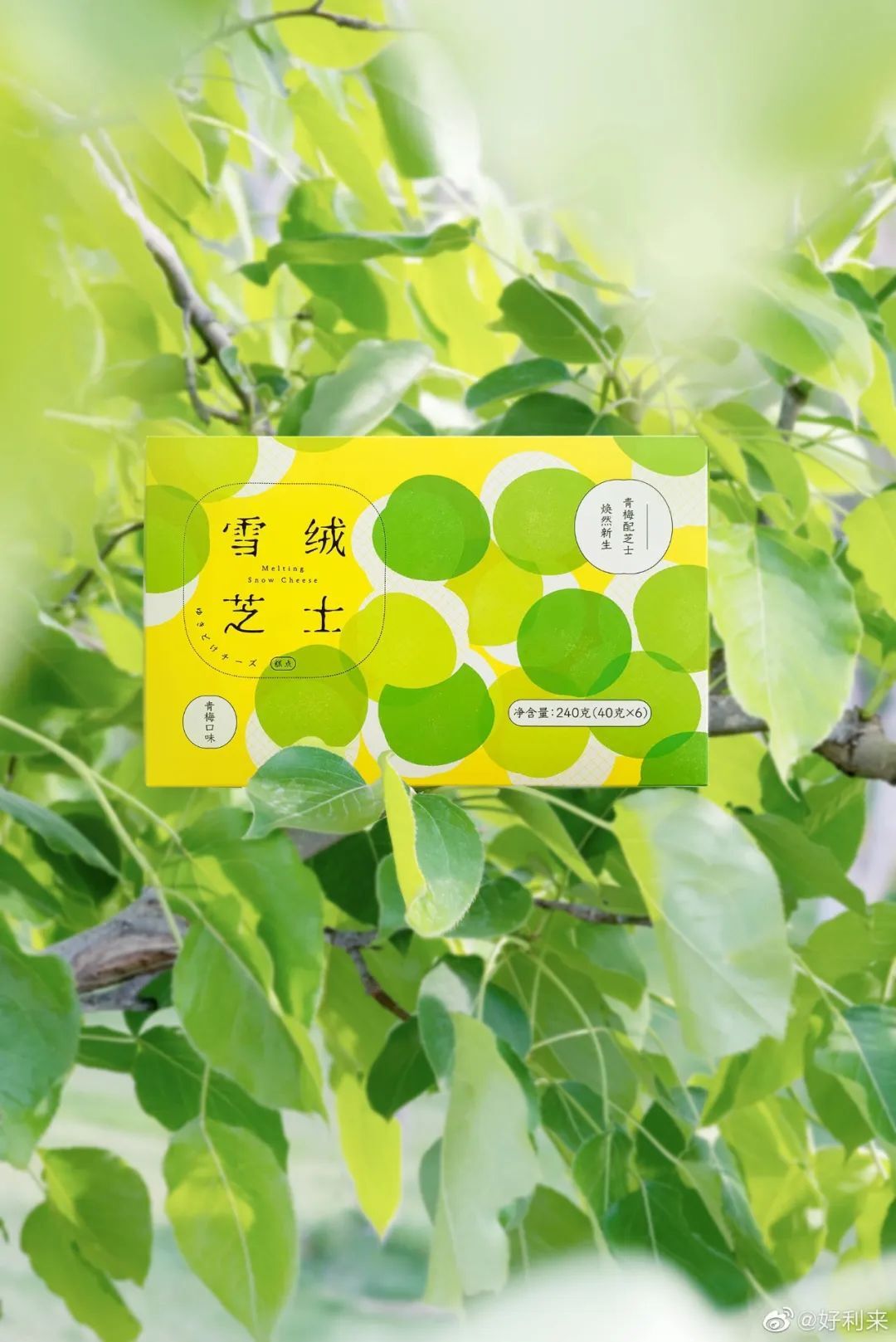 好利來，又一家被美食耽誤的設(shè)計公司