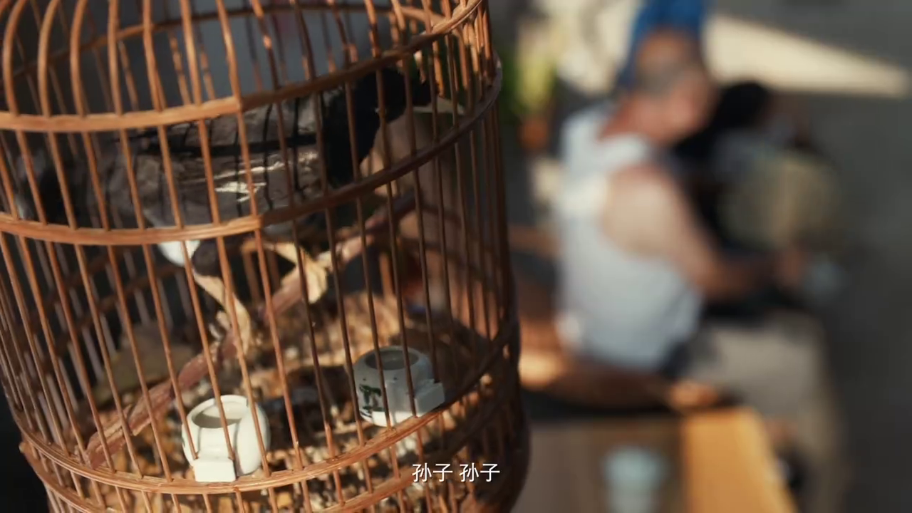 寶潔攜手墨跡天氣推出生活天氣預報，拯救生活熱情暴跌的你