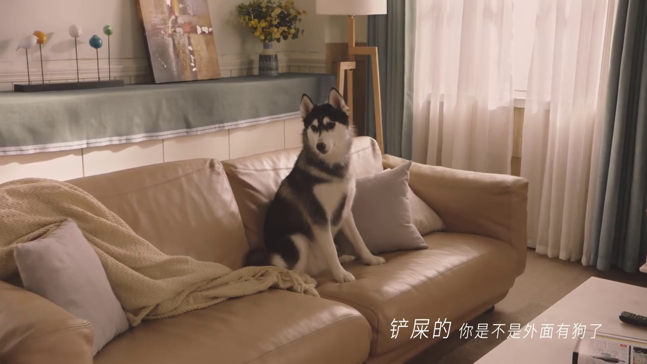 餓了么全面升級：外賣不止送餐，愛什么來什么