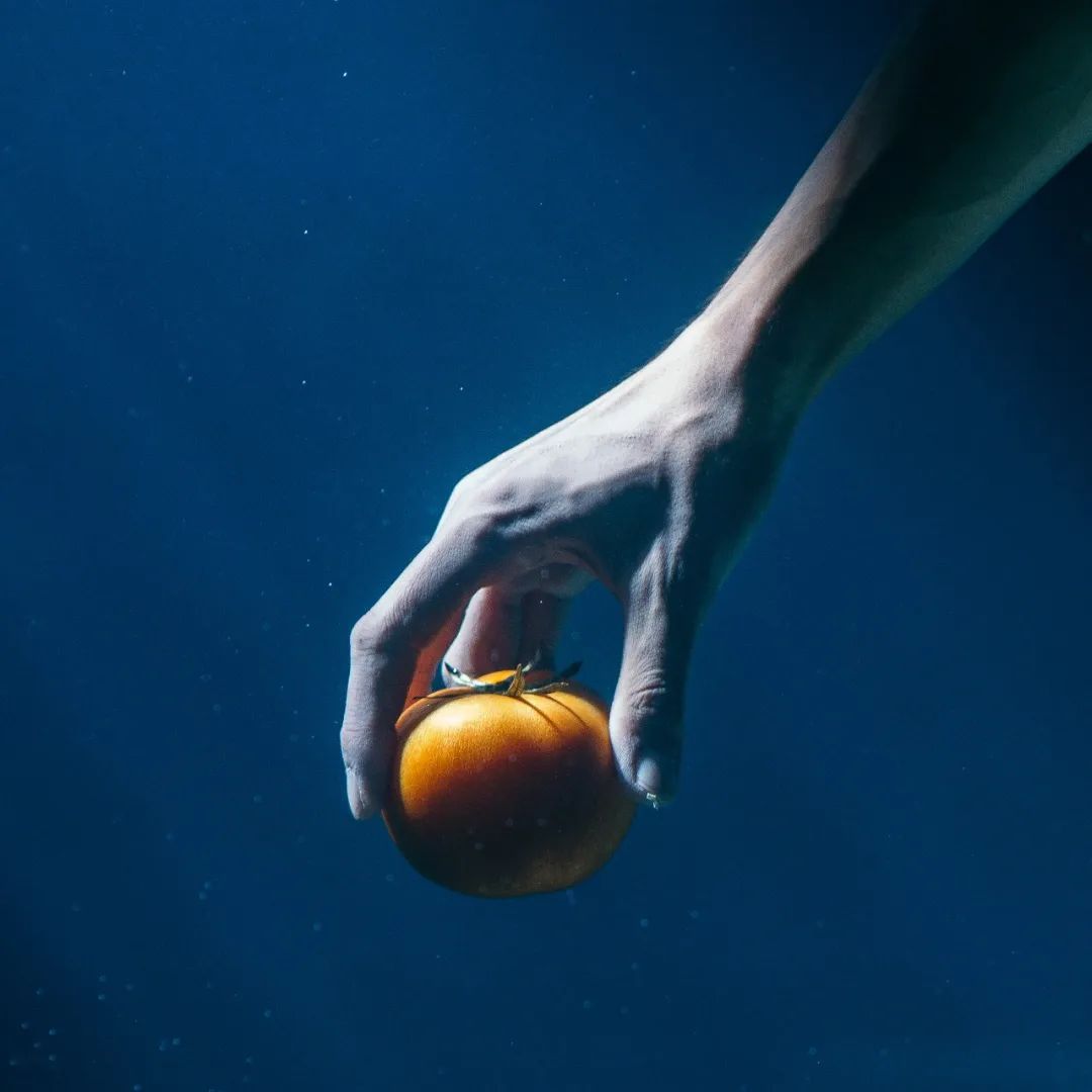 字節跳動創意宣傳片：百變大咖西紅柿