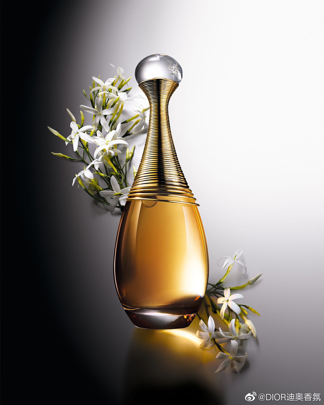 迪奧真我香水廣告片，邀請(qǐng)11位女性傳遞榜樣力量