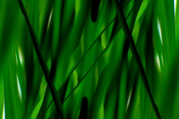 拍出抽象藝術相片的5個技巧