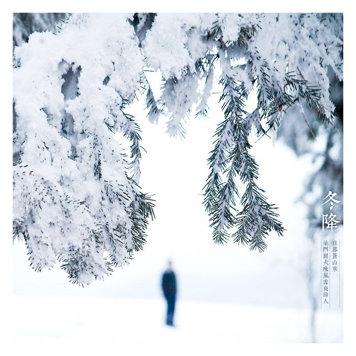 超實用的冬季雪景拍攝技巧