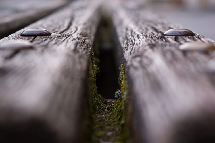 5分鐘讓你學懂景深的應用技巧