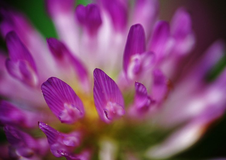 5分鐘讓你學懂景深的應用技巧