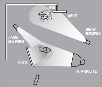 11種基礎打光方法,讓我們在打光的道路上走的更堅實!