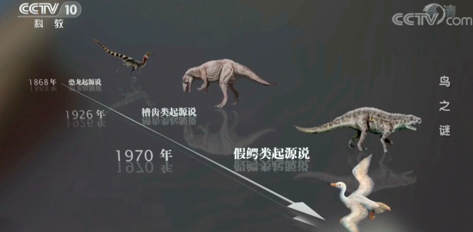 紀(jì)錄片拍攝，畫面上都應(yīng)該做哪些思考？——《百年地理大發(fā)現(xiàn)》幕后故事之專訪攝影師辛春風(fēng)