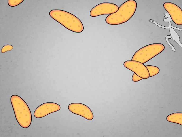 無(wú)錫新思維傳媒《誠(chéng)信宣傳MG動(dòng)畫制作》