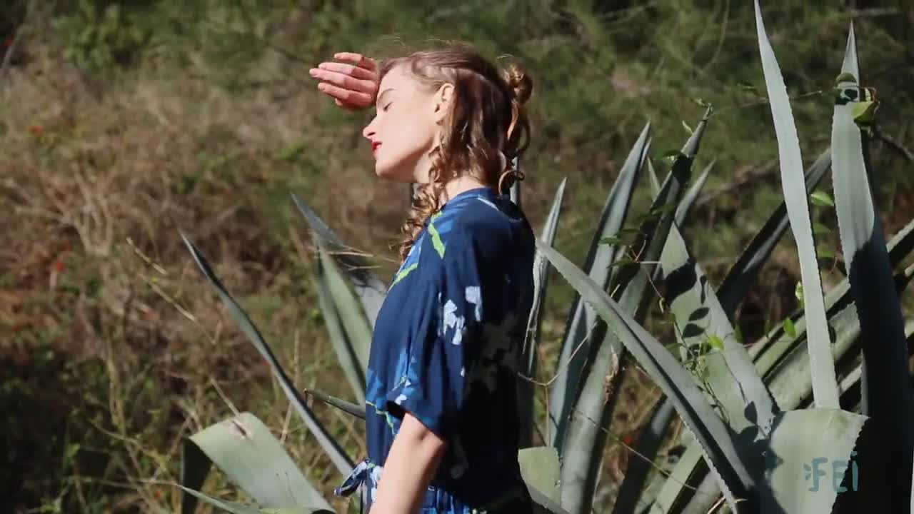 飛鳥(niǎo)和新酒新品形象片