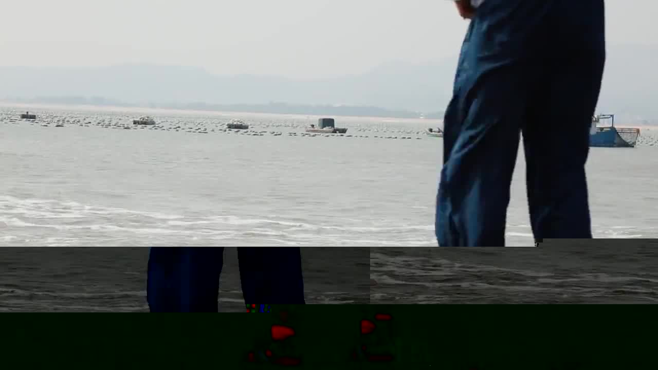 飛鳥(niǎo)和新酒新品形象片